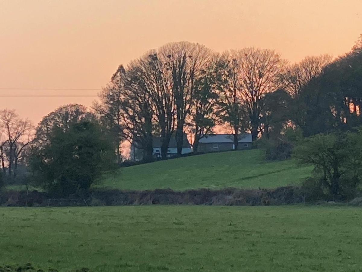 The Cottage Cork Exterior foto